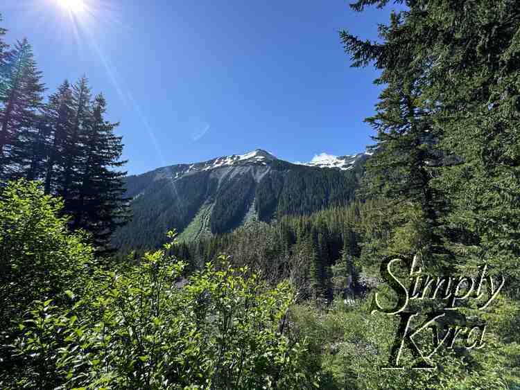 Mountain framed by the greenery.