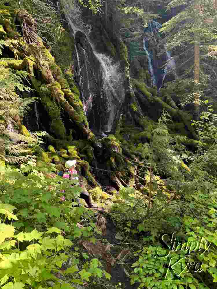 Me looking up at waterfall all framed by trees.