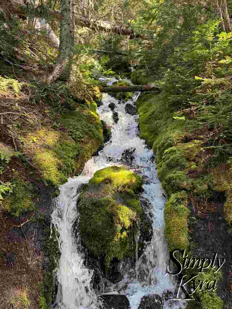 Waterfall breaking around moss coated rocks.