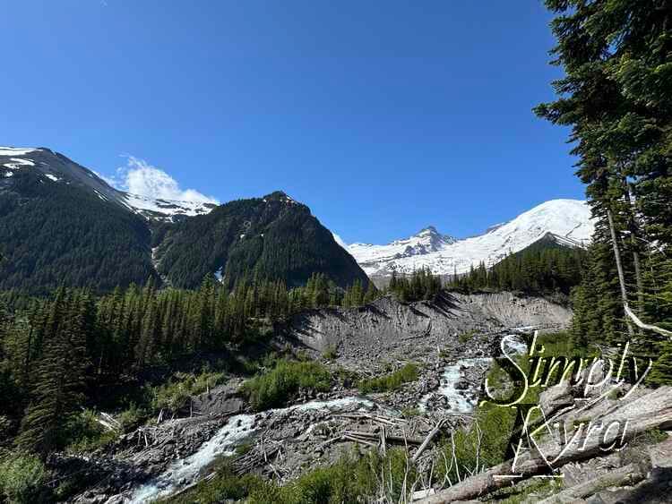 River cutting through rocks surrounded by mountains and trees. 