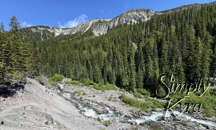 View from higher showing the switchbacks, river, and surrounding mountains and trees.