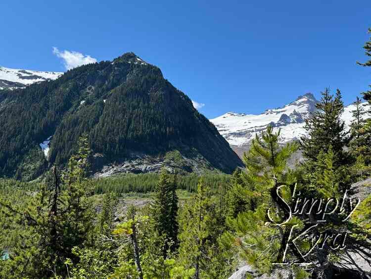 Trees, mountain, and glacier.