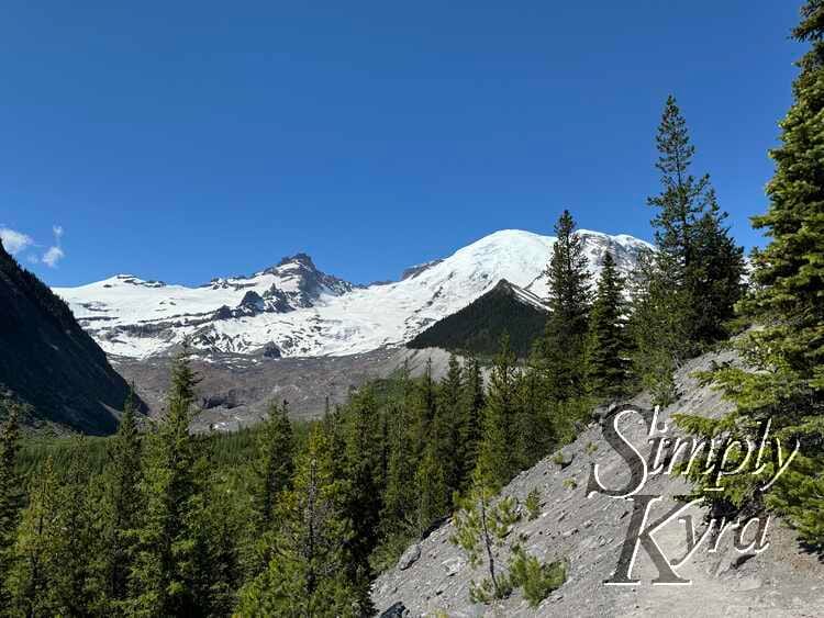 View of the sandy trails along the trees with view of glacier and mountain.