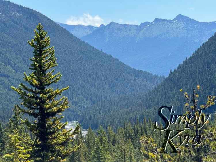 A tree stands in the foreground in front of treed mountains in the background with a single small river in the distance. 