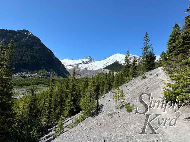 View of the sandy trails along the trees with view of glacier and mountain.