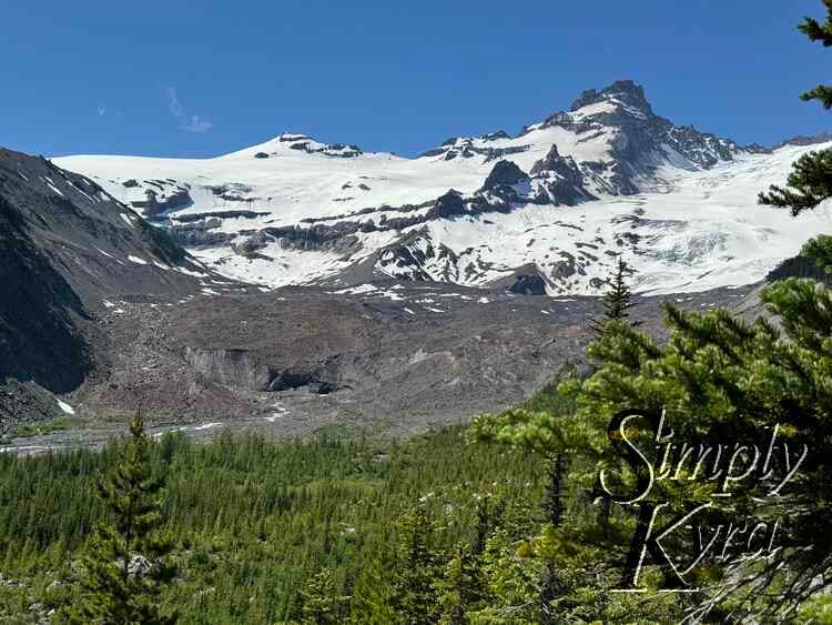 Trees, meandering river, barren land, and snow.