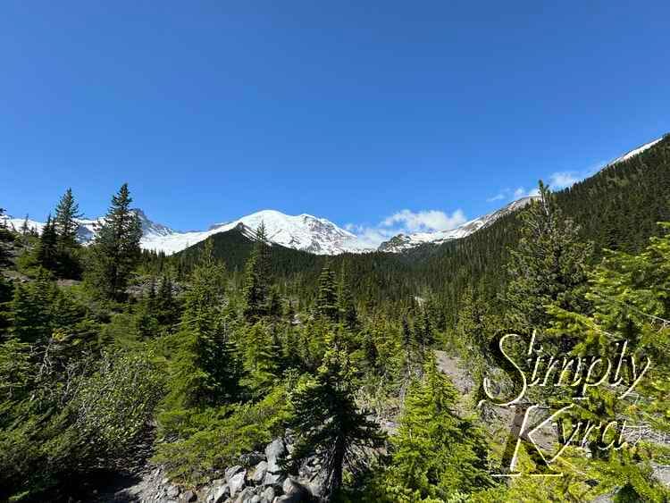 Trees, trail, mountains, and snow.