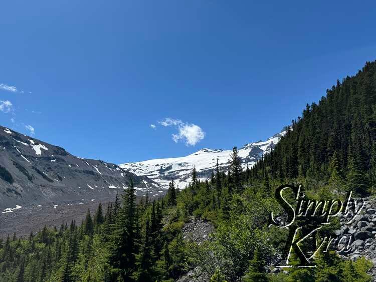 Trees, mountains, glacier, and deep blue sky.