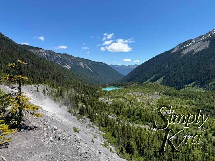 Single tree next to sandy blowing trail with view of valley of trees and lake.