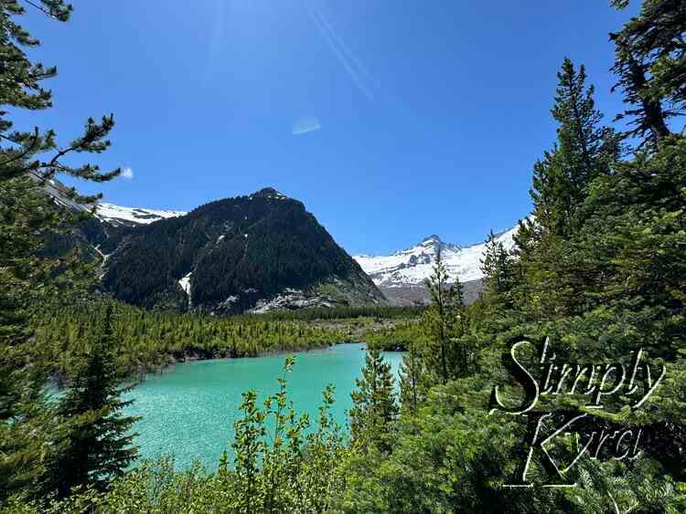 Epic landscape showing the lave with mountains and glacier in the background framed with green trees. 