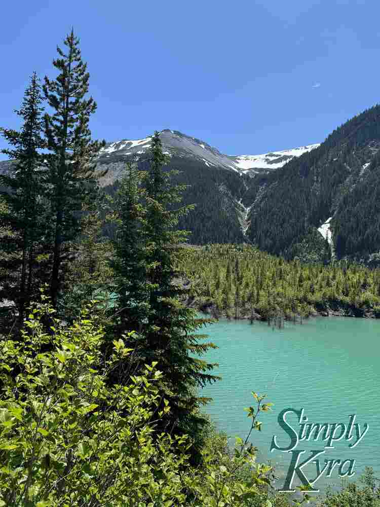 Epic landscape showing the lave with mountains in the background framed with green trees to the left. 