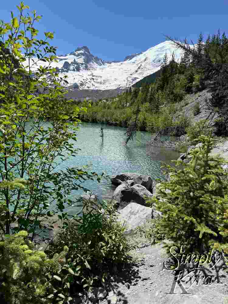 Epic landscape showing the lave with mountains and glacier in the background framed with green trees and rocks. 