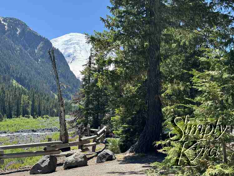 Fence, trees, mountain, and hint of water. 