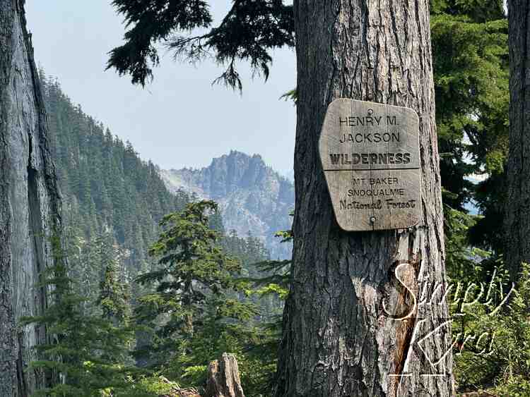 Sign in the middle of nowhere showing where we are... National Forest!