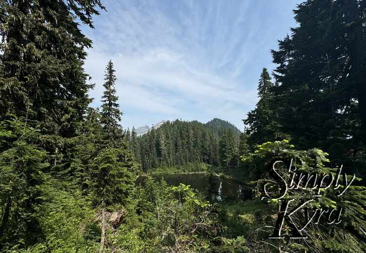 Vague hint of lake surrounded by green trees and blue sky. 