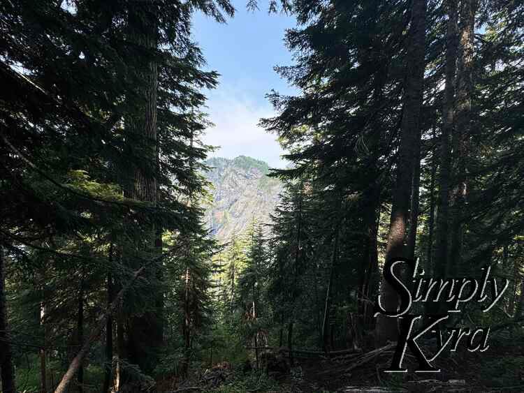 Trees framing mountain and blue sky.