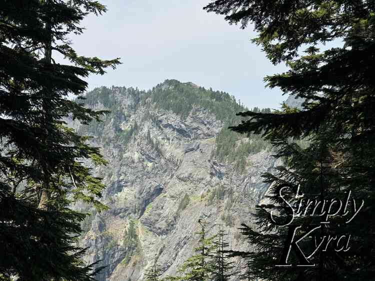 Trees framing mountain and blue sky.