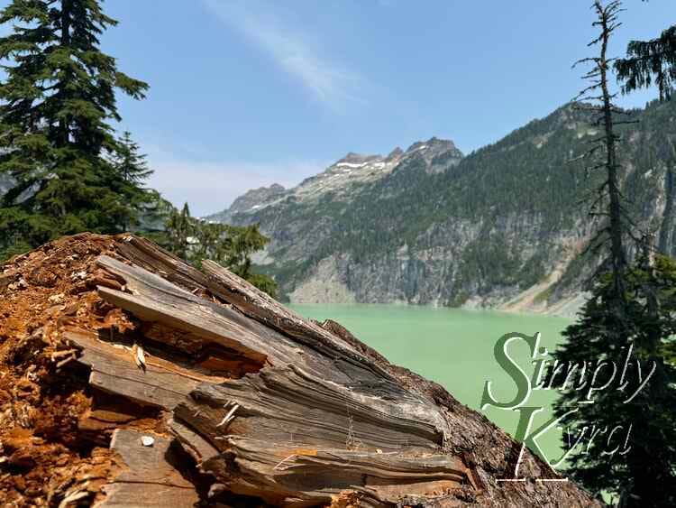 Trees, blue sky, fallen tree trunk, and sky framing the lake.