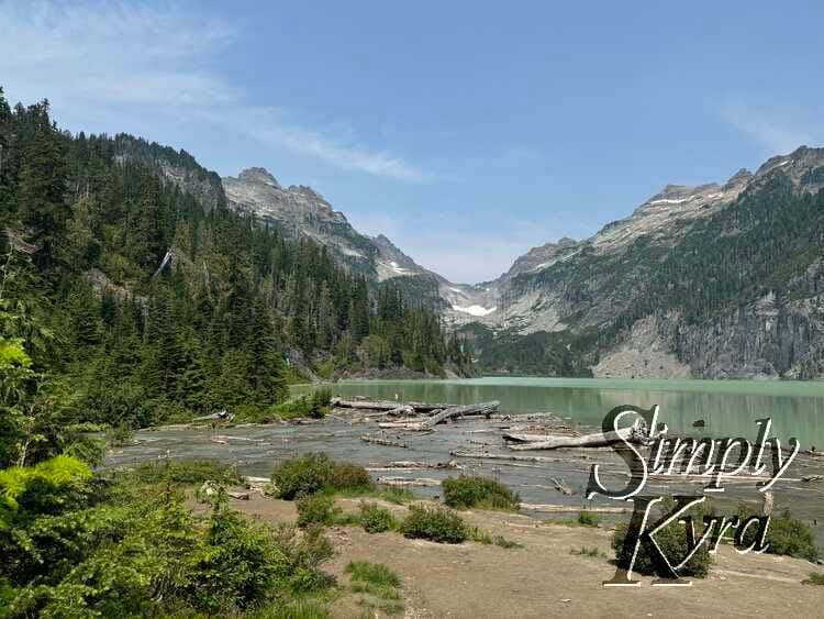 View of the lake with logs stopping you from the flowing current. 