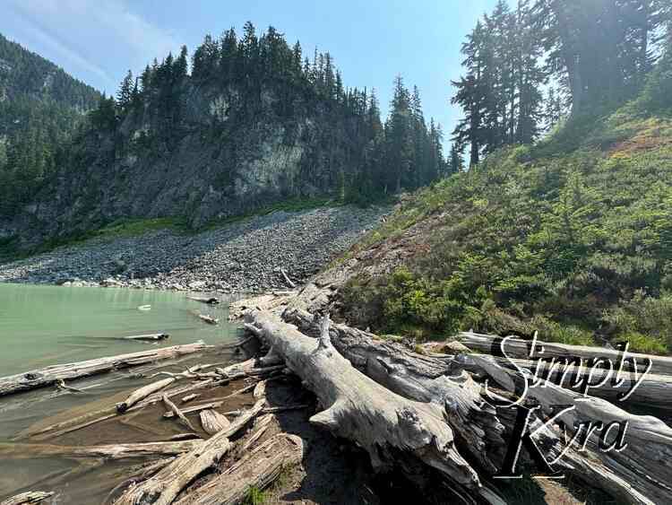 Lake against rocks and logs suitable to eat on.