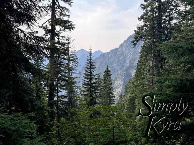 Trees frame the mountains and sky.