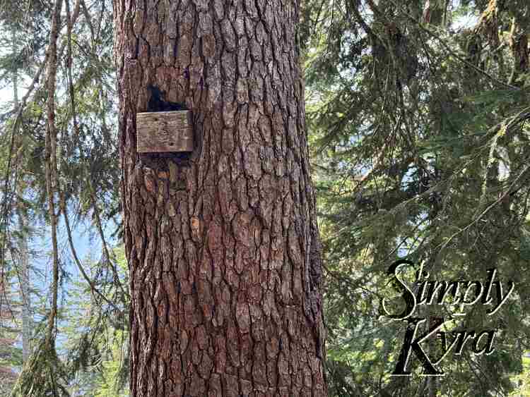 Mile marker? in the tree.