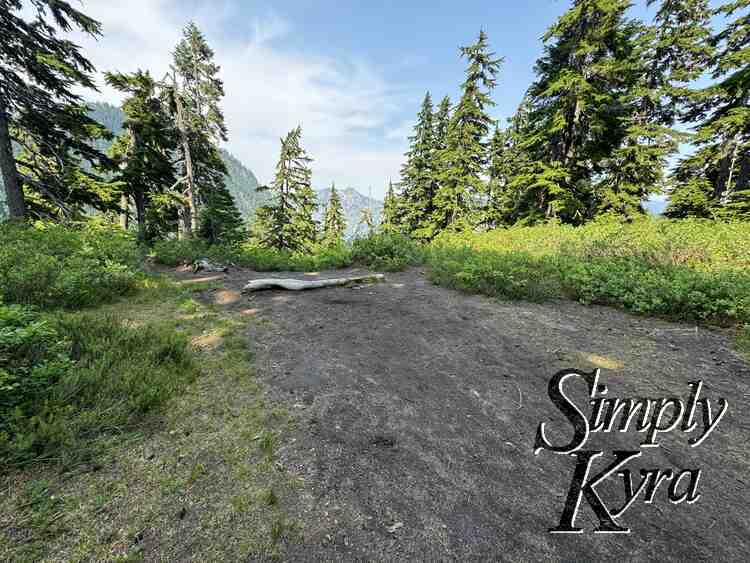 Flat patch of dirt surrounded by vegetation, trees, mountains, and sky.